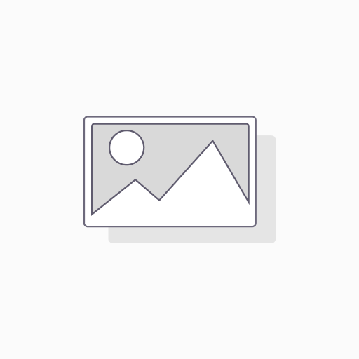 Hosting Odoo(Anual)